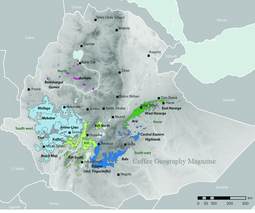 The main coffee growing regions in Ethiopia