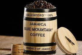 jamaica blue mountain coffee
