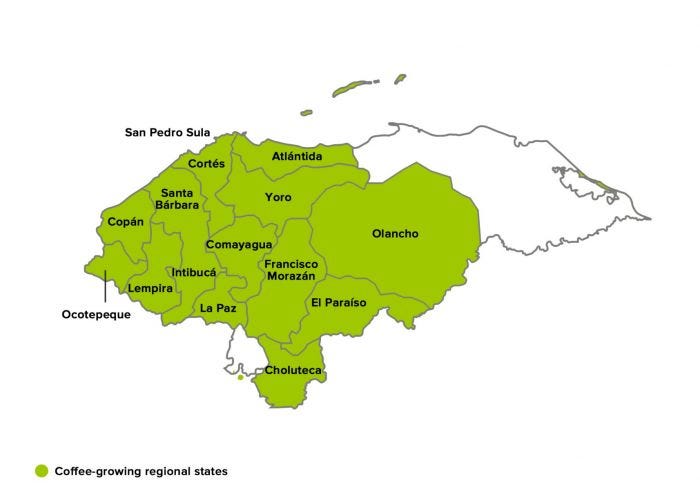 honduras coffee region