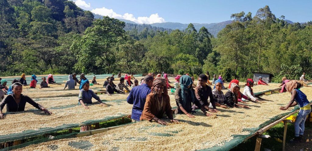 oromia coffee farmers