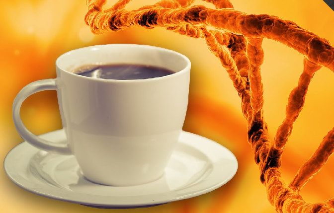 coffee dna