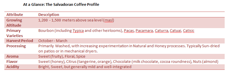 El Salvador Coffee Profile