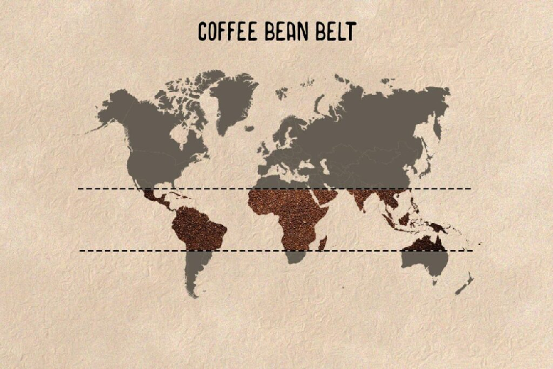 coffee world belt
